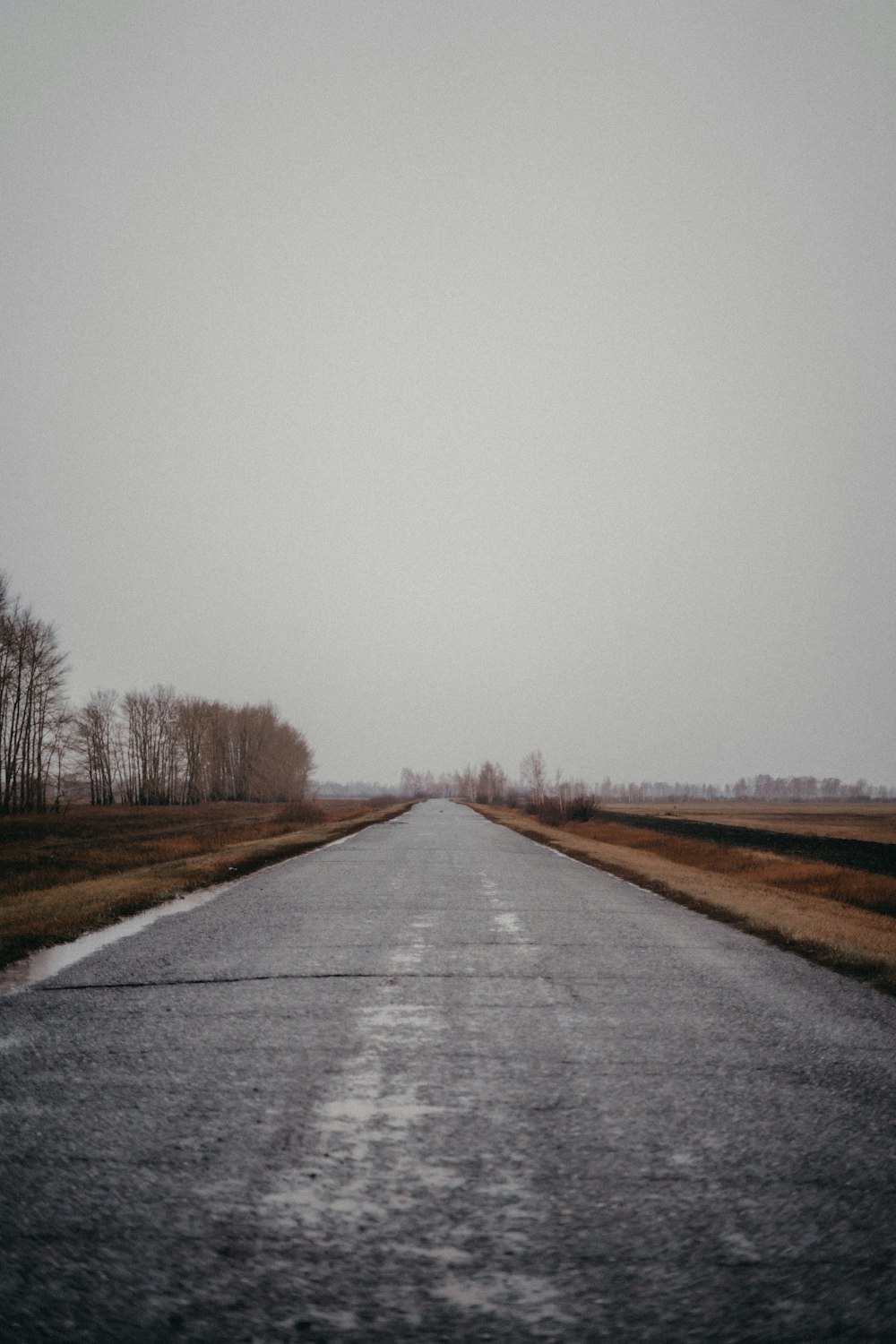 an empty road in the middle of a field