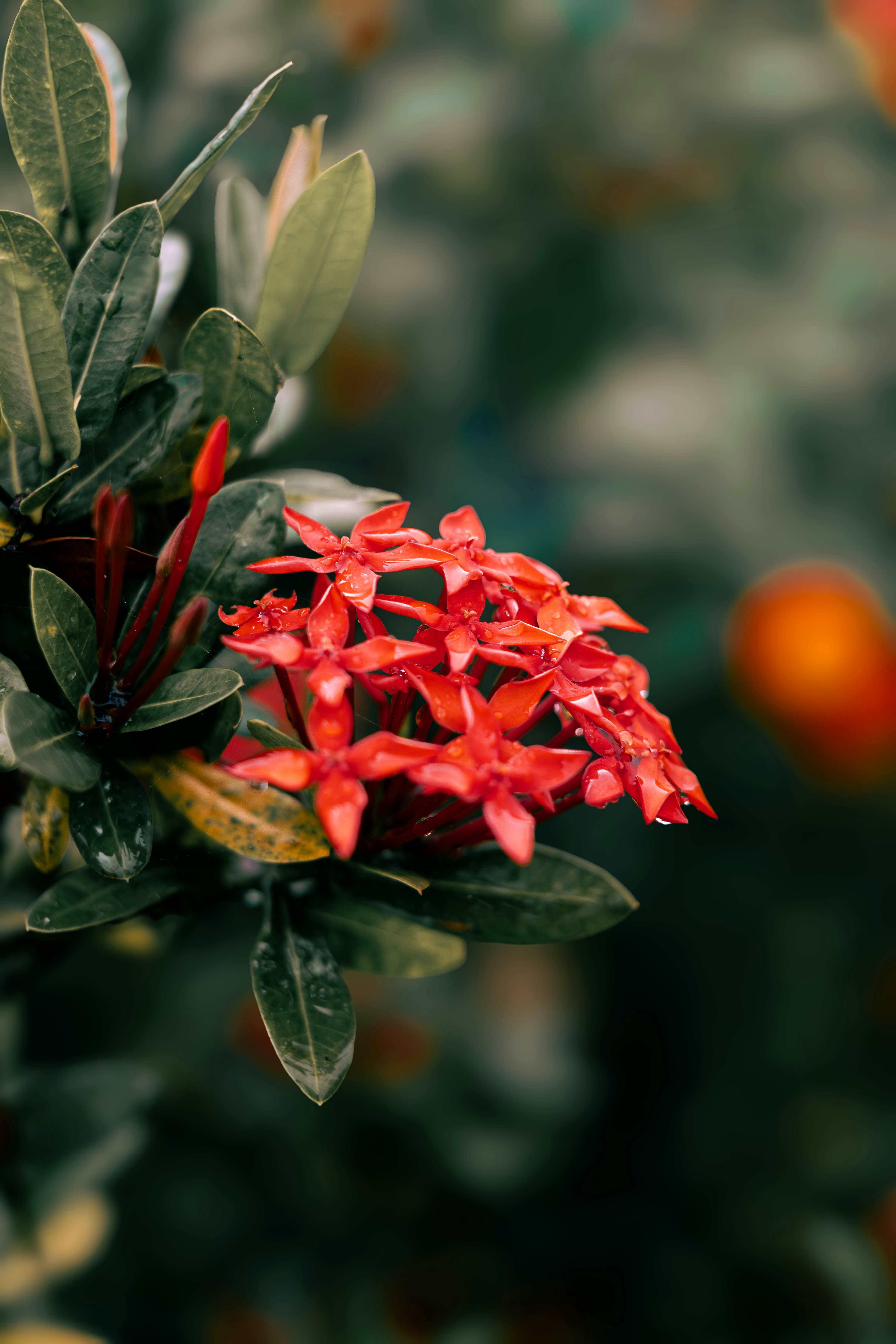 Photo by baguette_knight