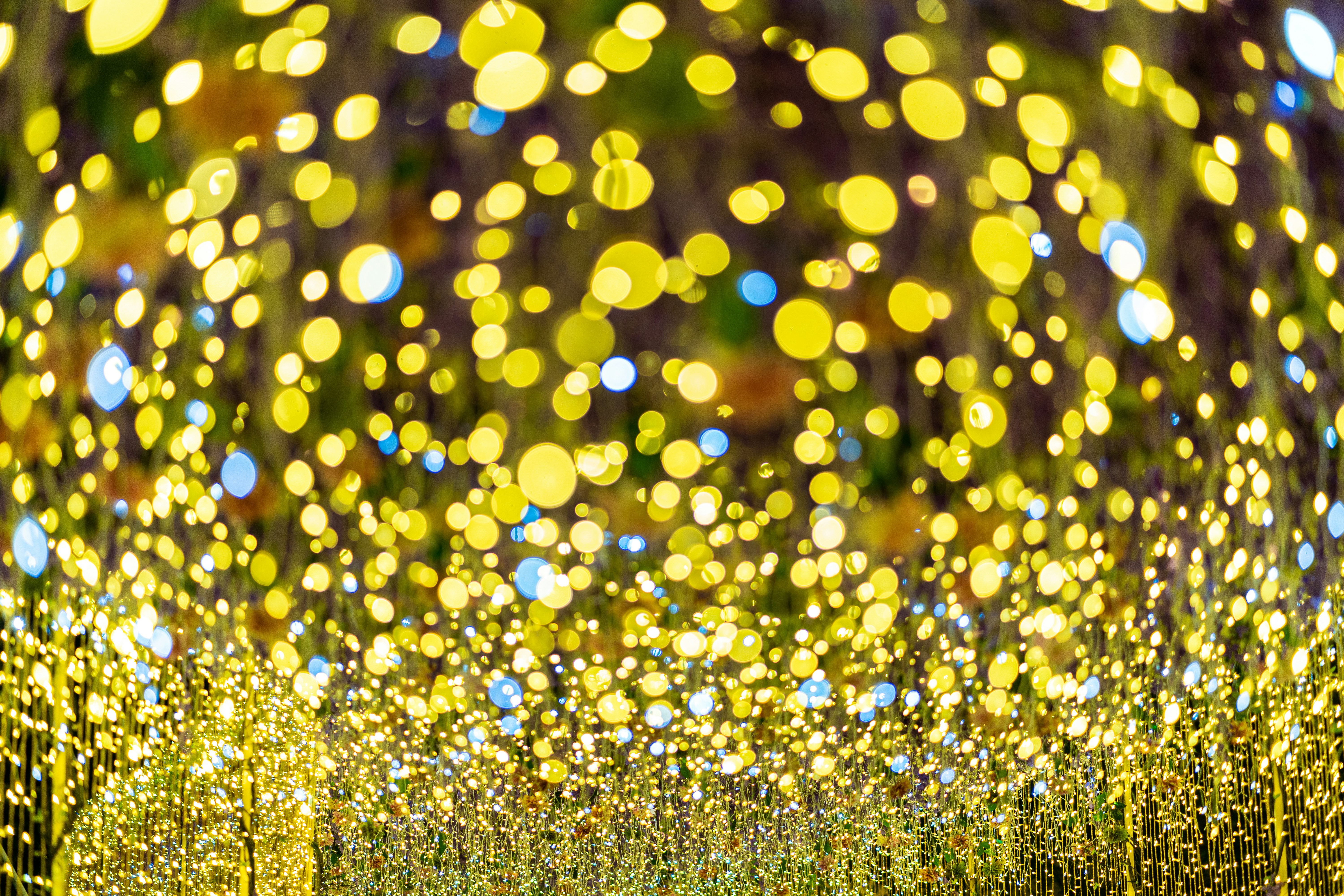 Photo by winstonchen