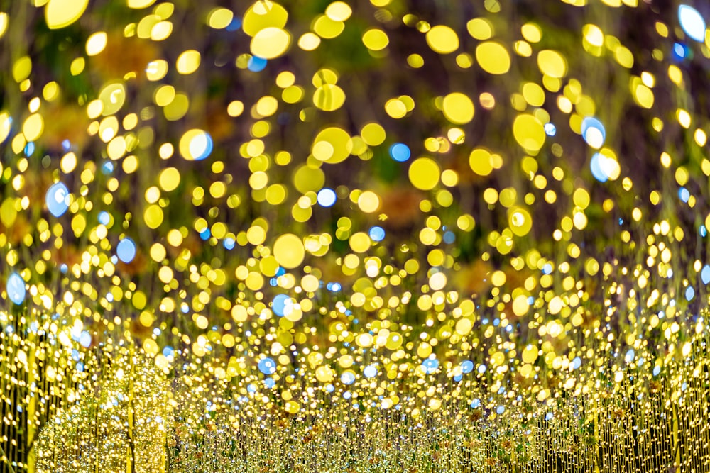 a group of yellow lights hanging from the ceiling