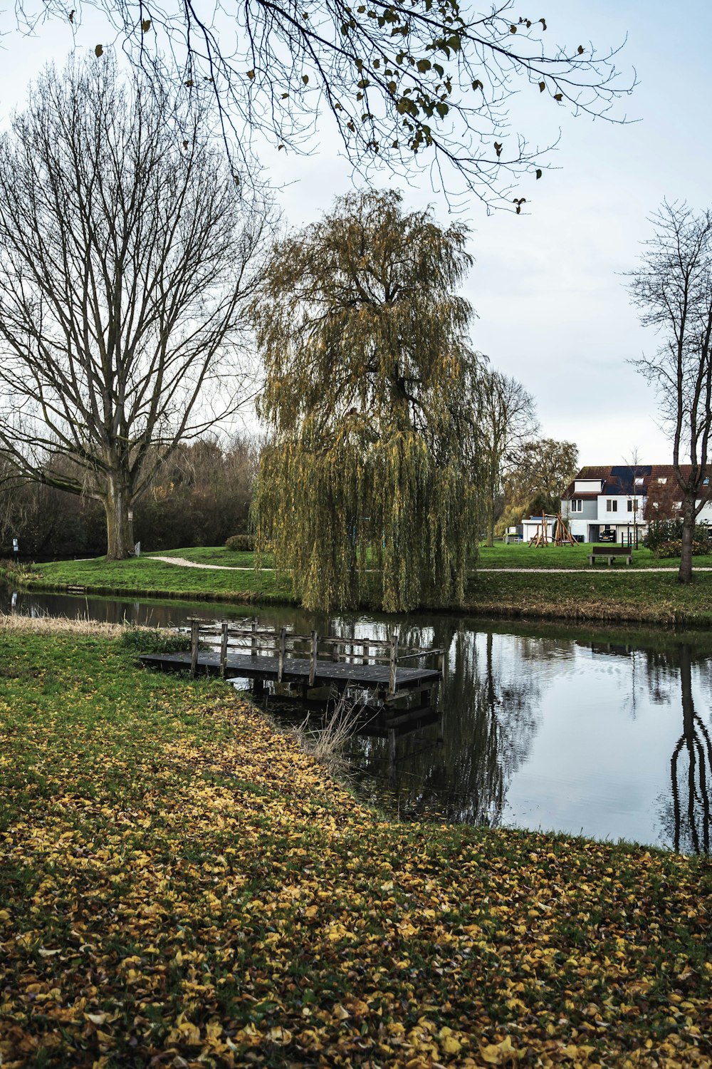 a small wooden bridge over a body of water