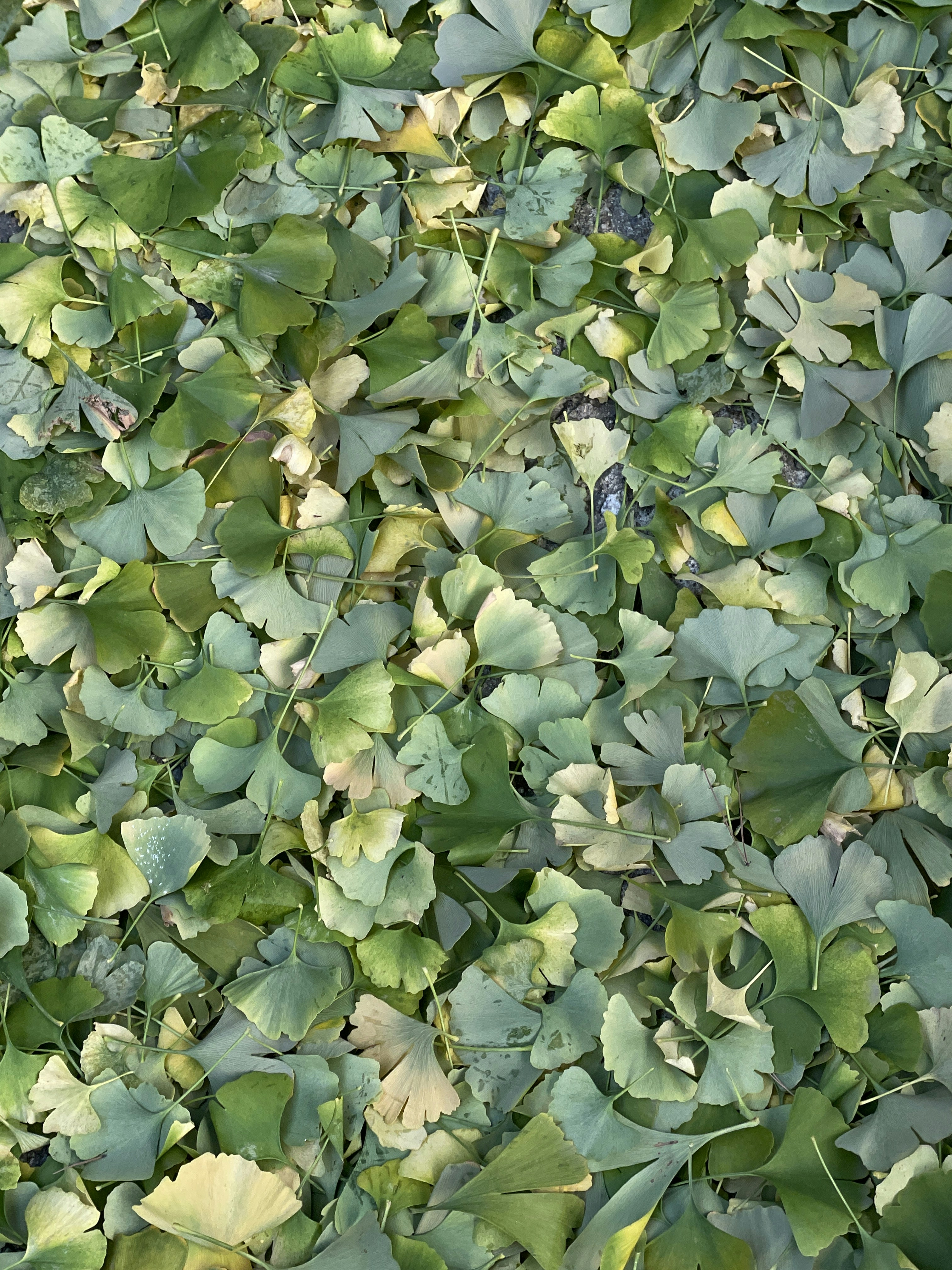 Photo by the_voyager141