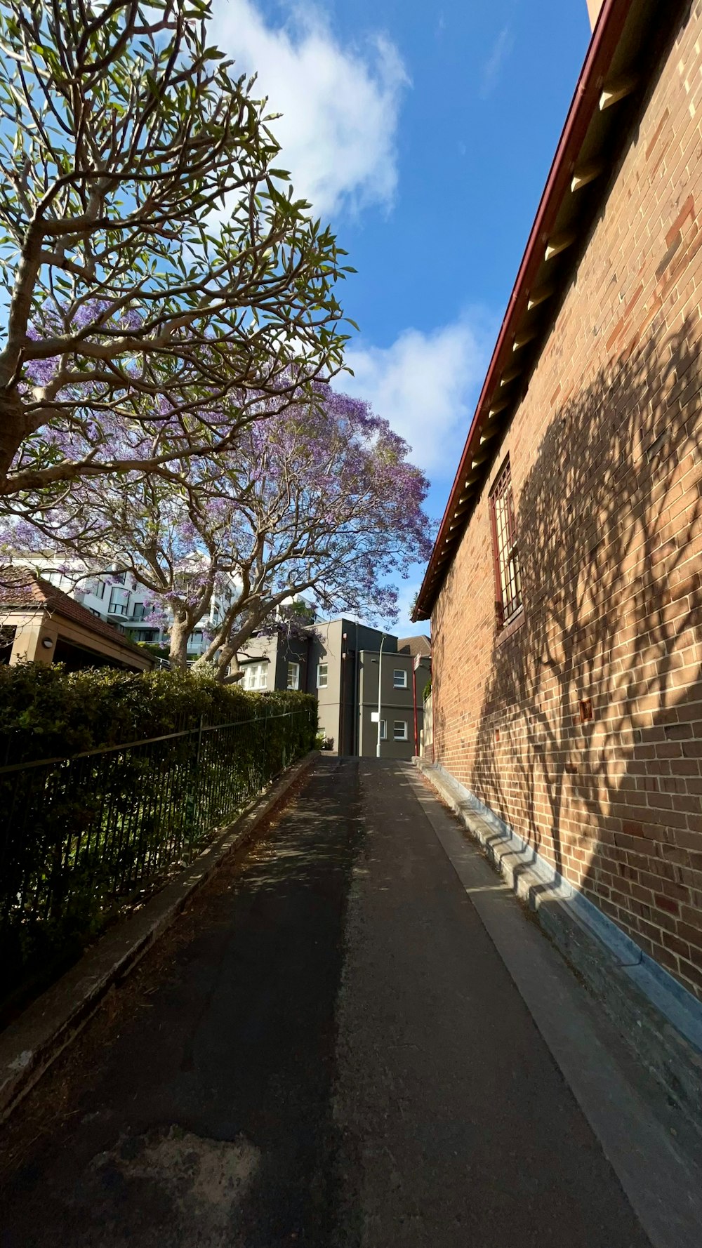 a brick building with a tree casting a shadow on it