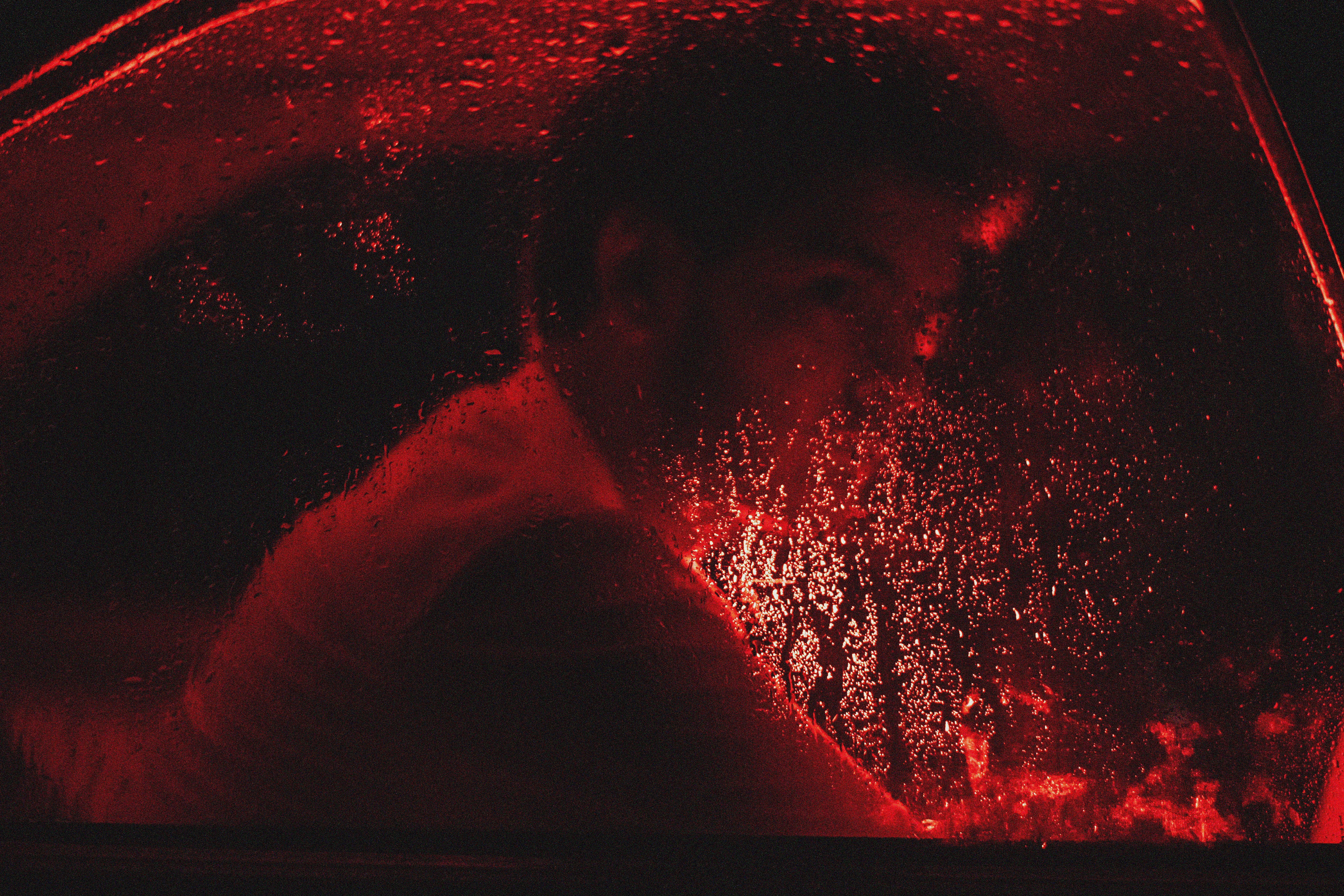 Photo by kamyardehghan