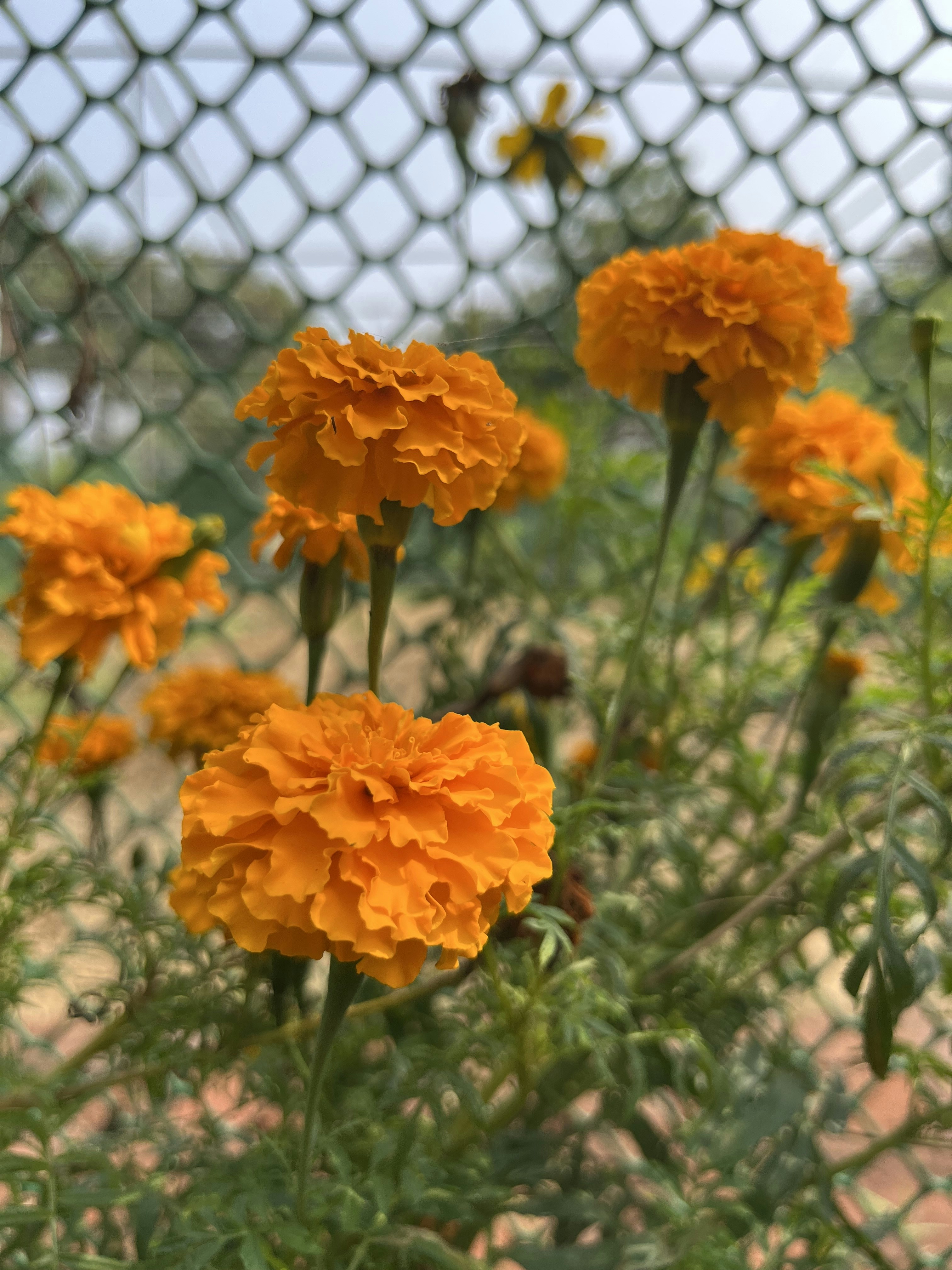 Photo by parthnandania