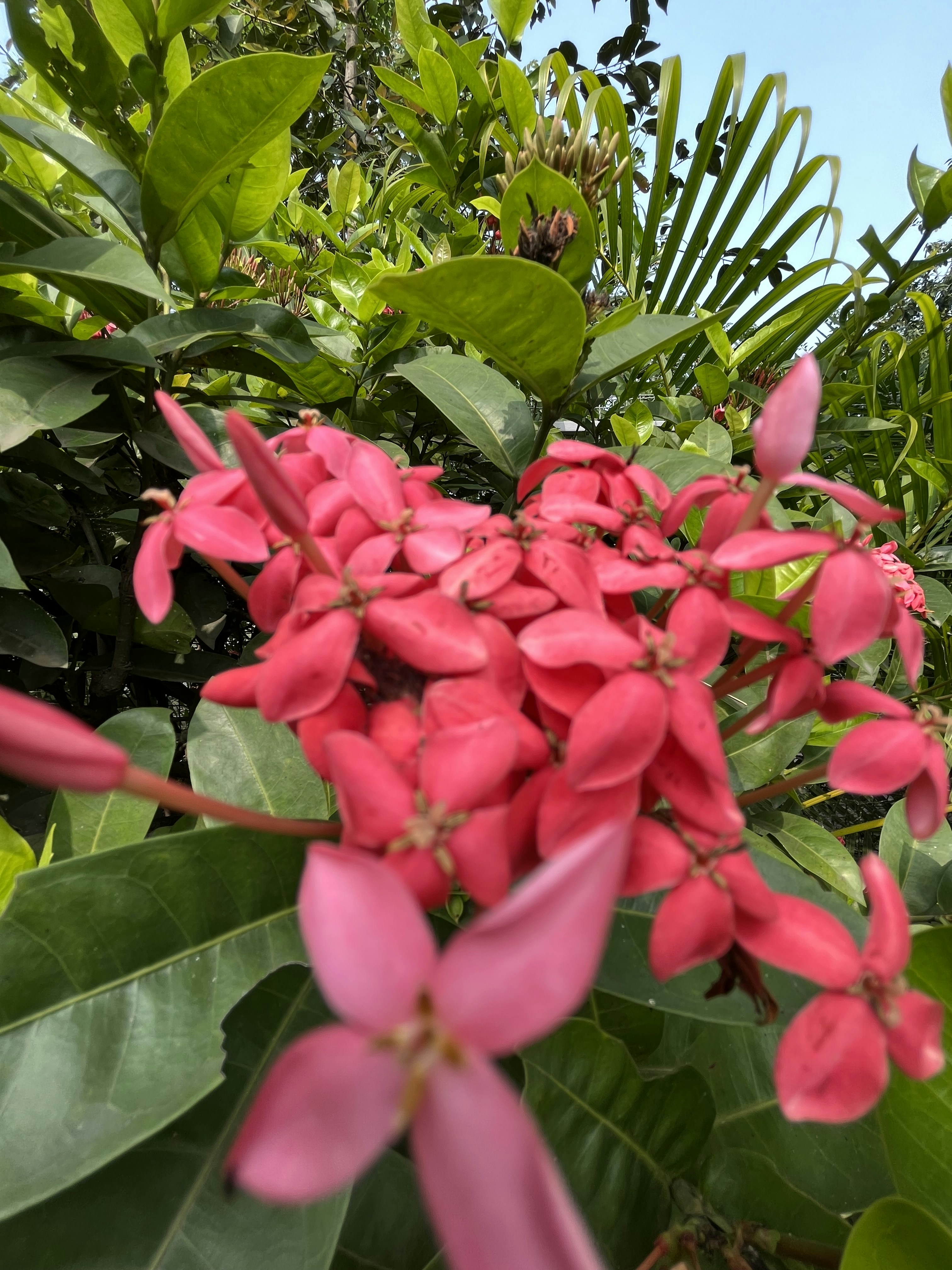 Photo by parthnandania