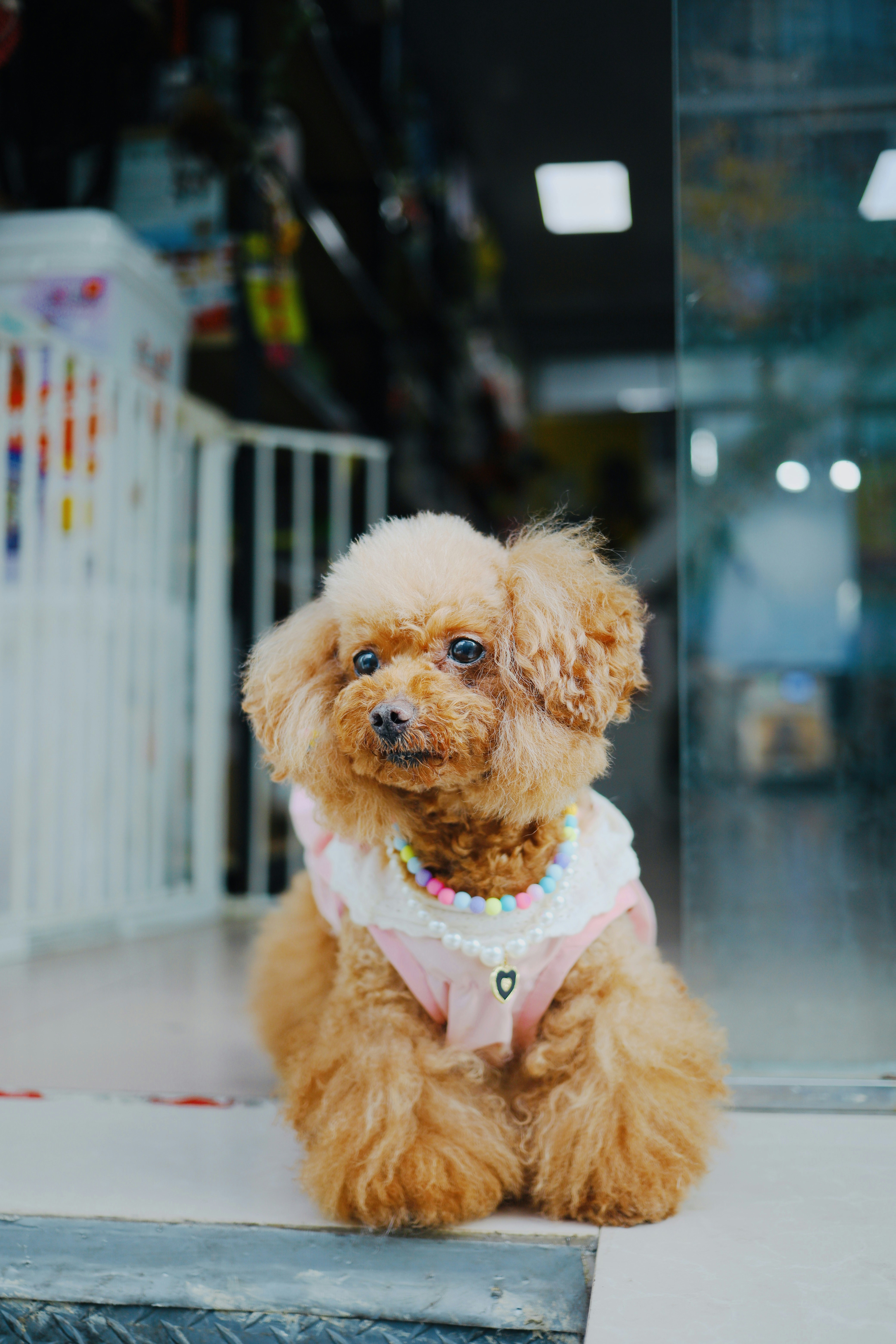 Photo by yokonoito0512