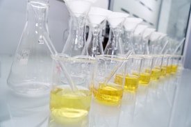 A series of glass beakers and Erlenmeyer flasks are lined up on a laboratory table, each containing a yellow liquid. Funnels are placed in the necks of the flasks and beakers, indicating a filtration or liquid processing activity. The table surface is reflective, enhancing the clarity and brightness of the glassware.