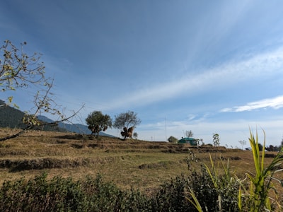 Local farmers tending to terraced fields in the Western Ghats under a clear blue sky.