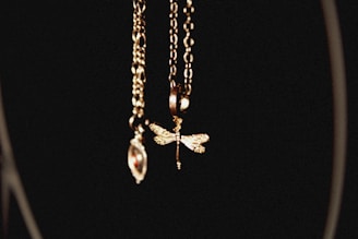 Two elegant necklaces are suspended against a black background. One chain holds a pendant shaped like a dragonfly with detailed wings, while the other features a more abstract design with red accents.
