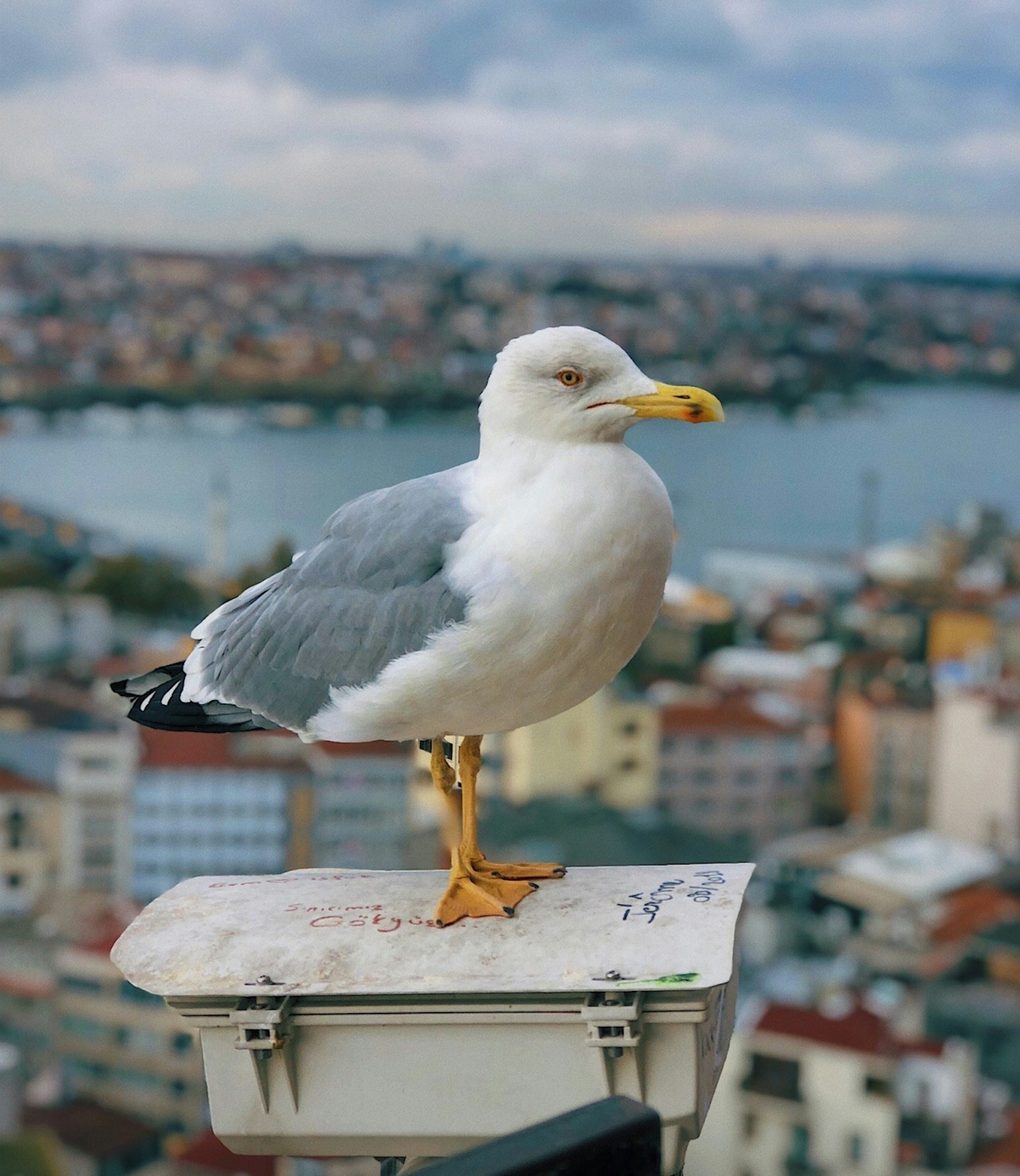 Photo by tkargin