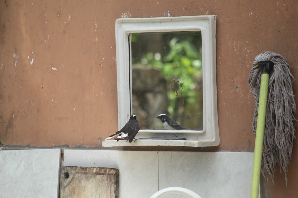 a couple of birds sitting on top of a window sill