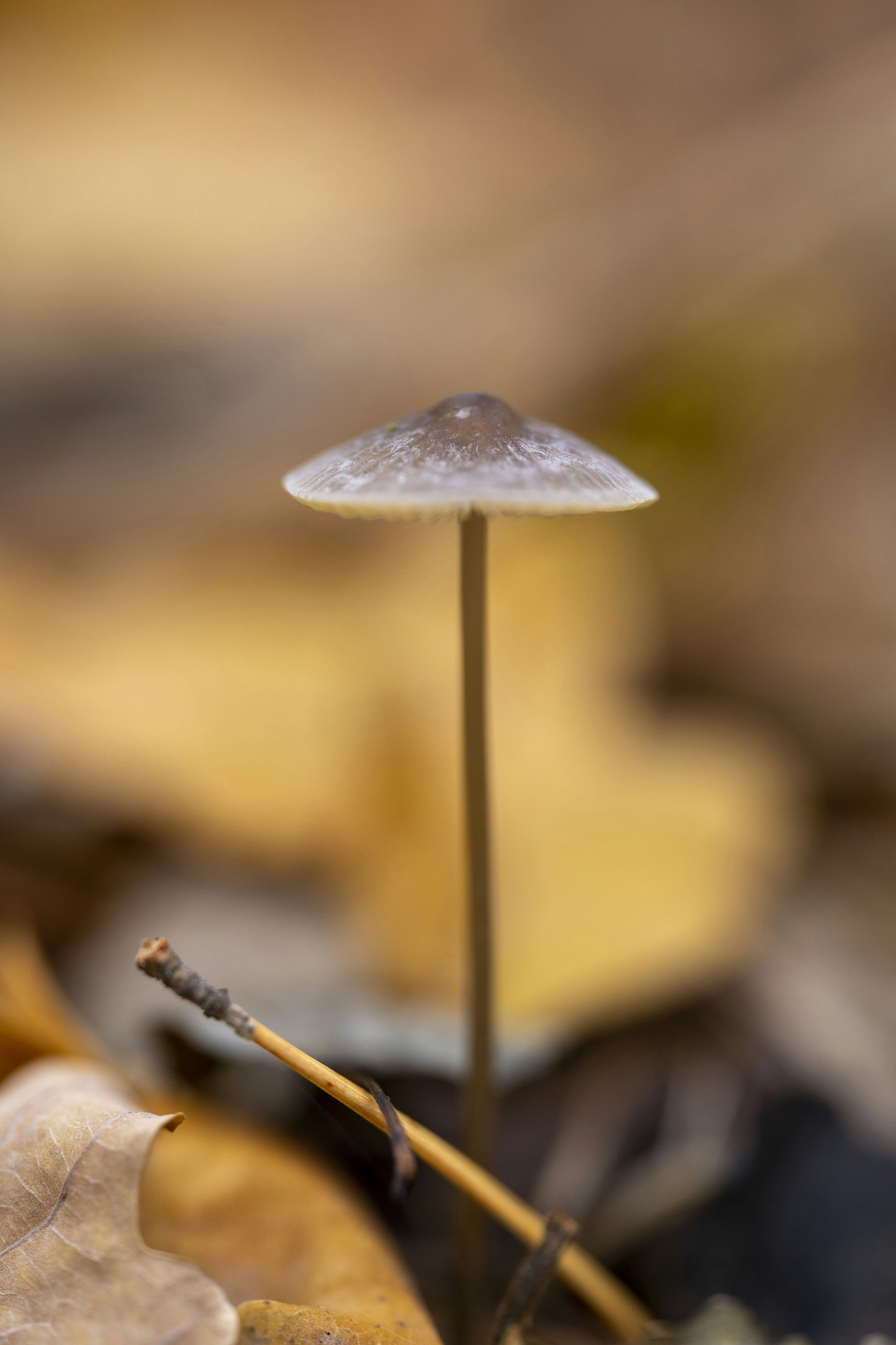 Photo by milenabozek