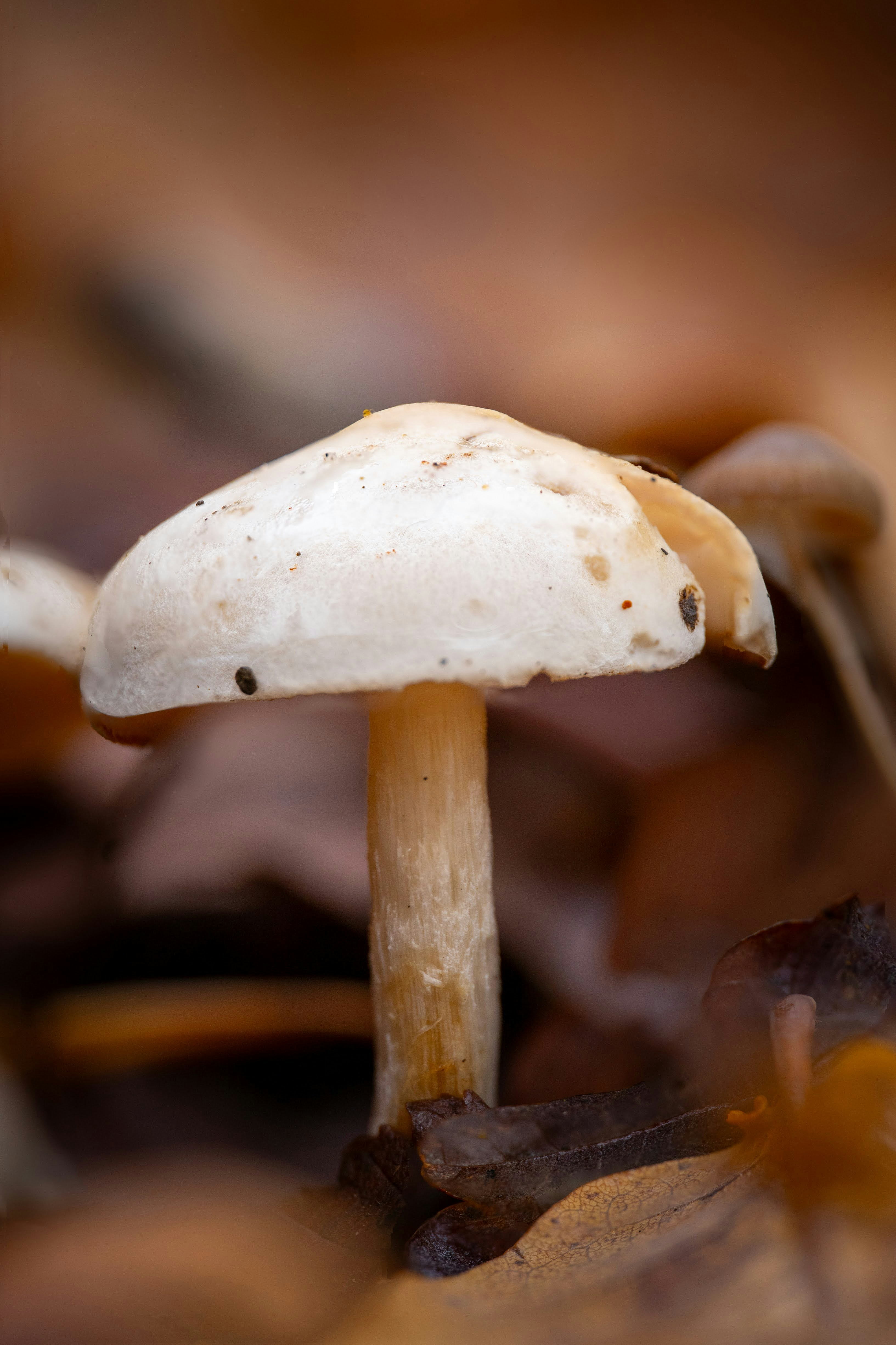 Photo by milenabozek