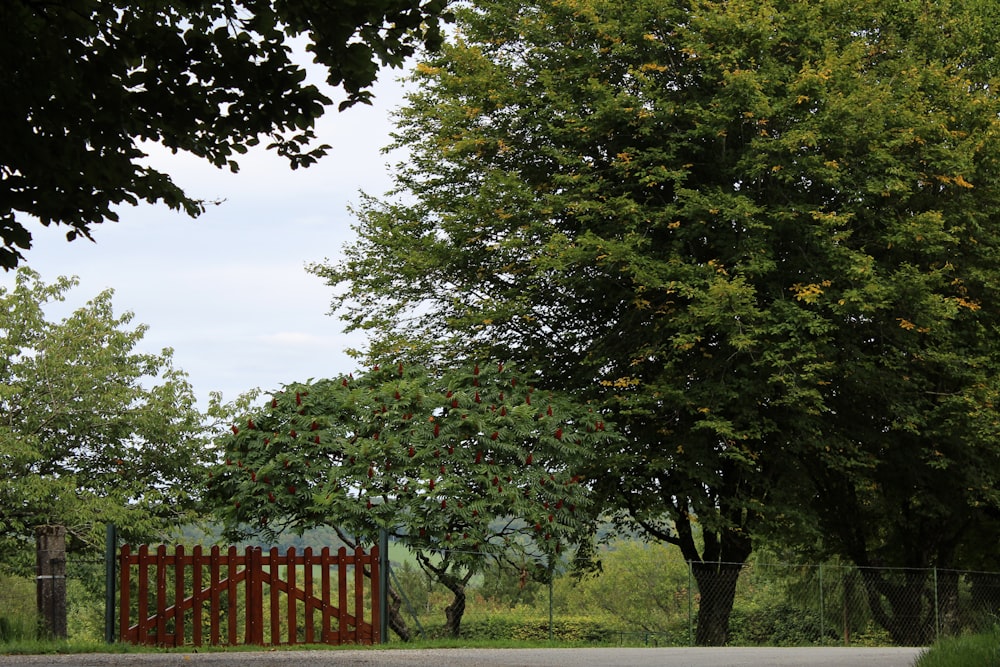 a wooden gate in the middle of a road