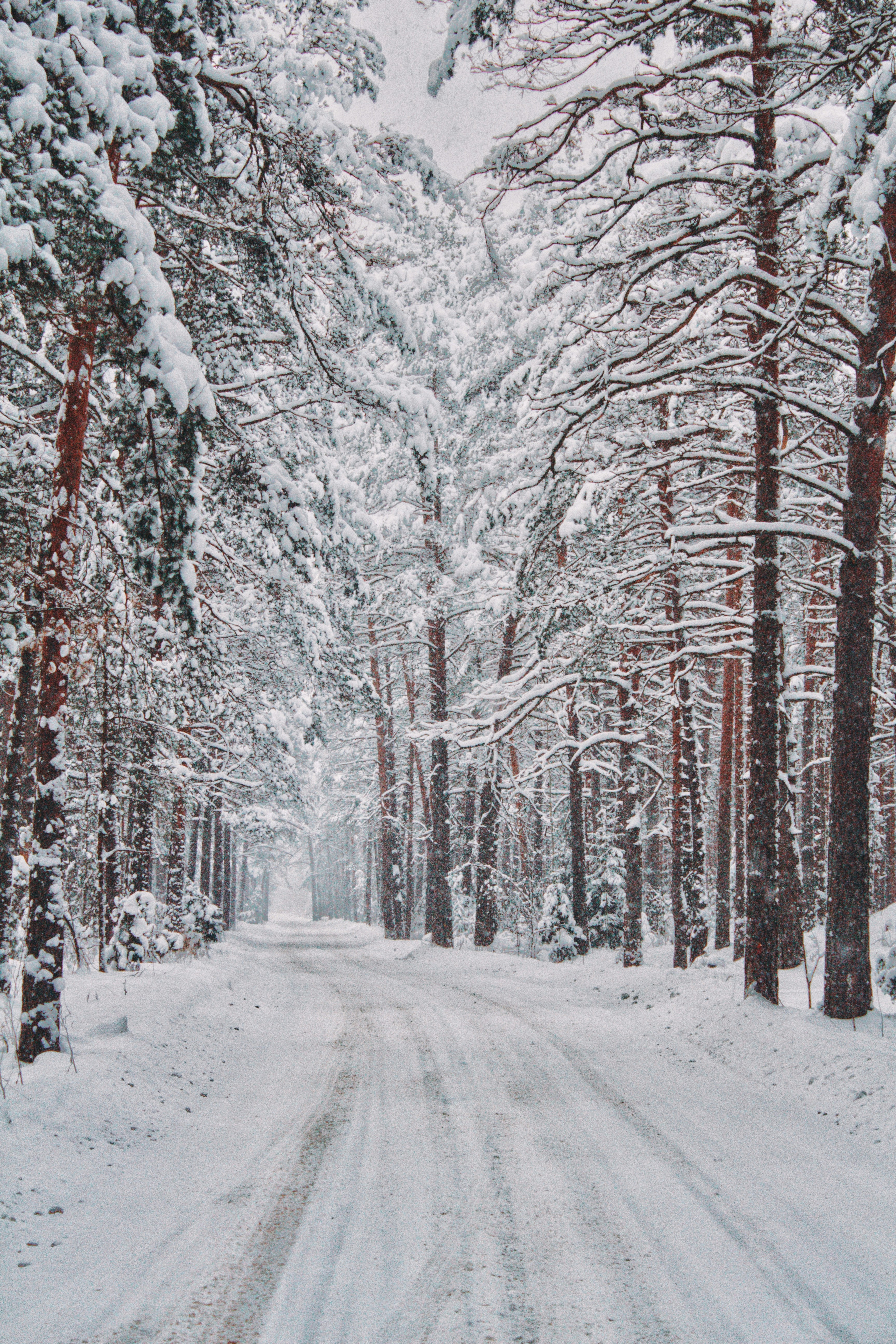 Photo by maximyuryshev