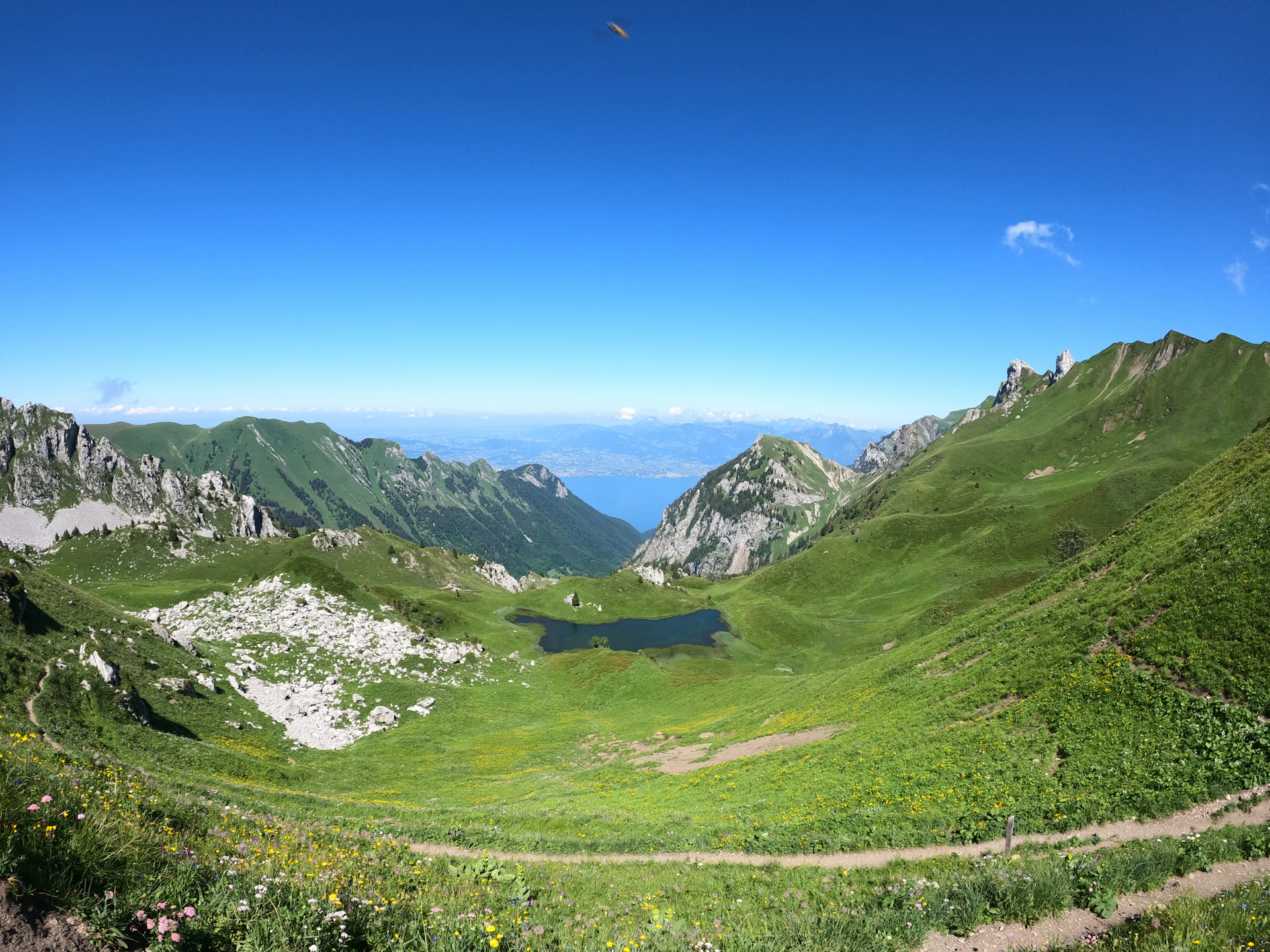 a scenic view of a valley with mountains in the background
