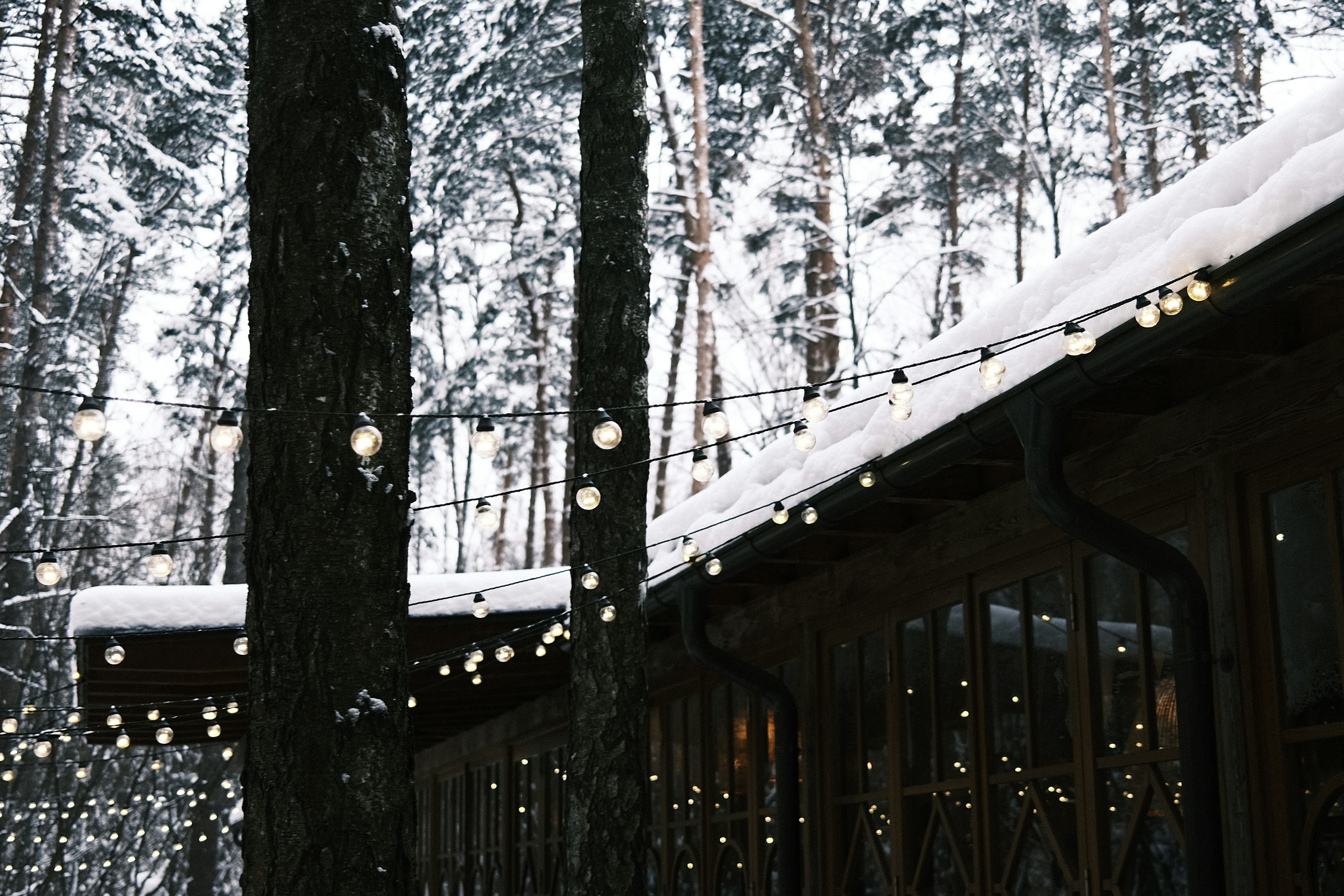 frosted forest snow, winter wedding decor, ilustrasi artikel Enchanting Winter Wedding Decor: Create Your Own Winter Wonderland 5