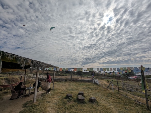A group of volunteers warmly assisting pilgrims at the Gangasagar Mela under a calm blue sky.
