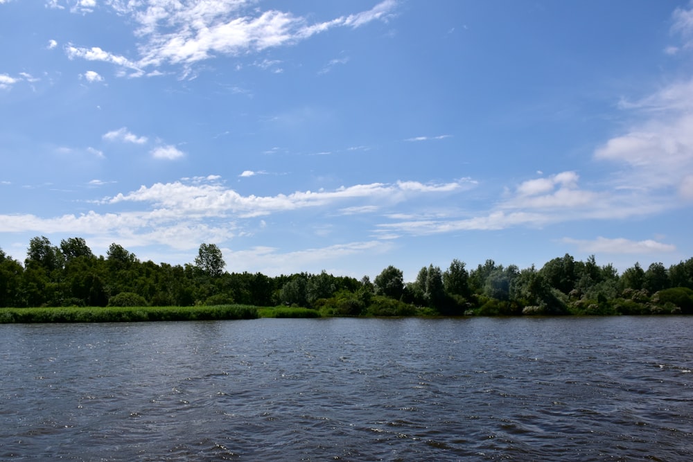 a body of water with trees in the background