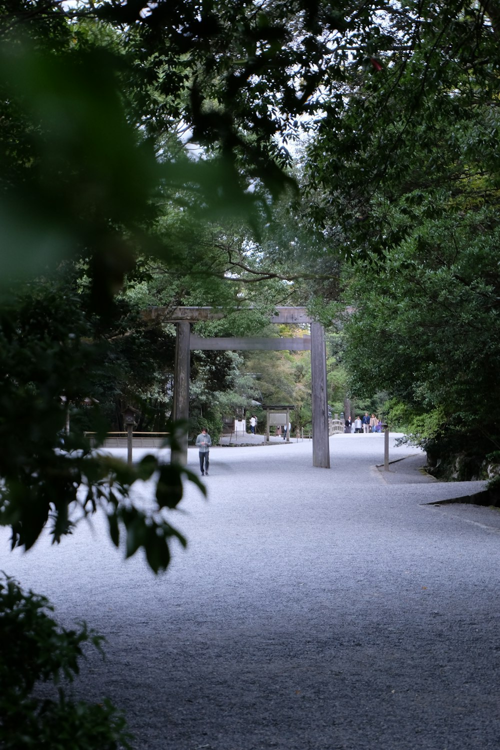 a walkway in a park surrounded by trees