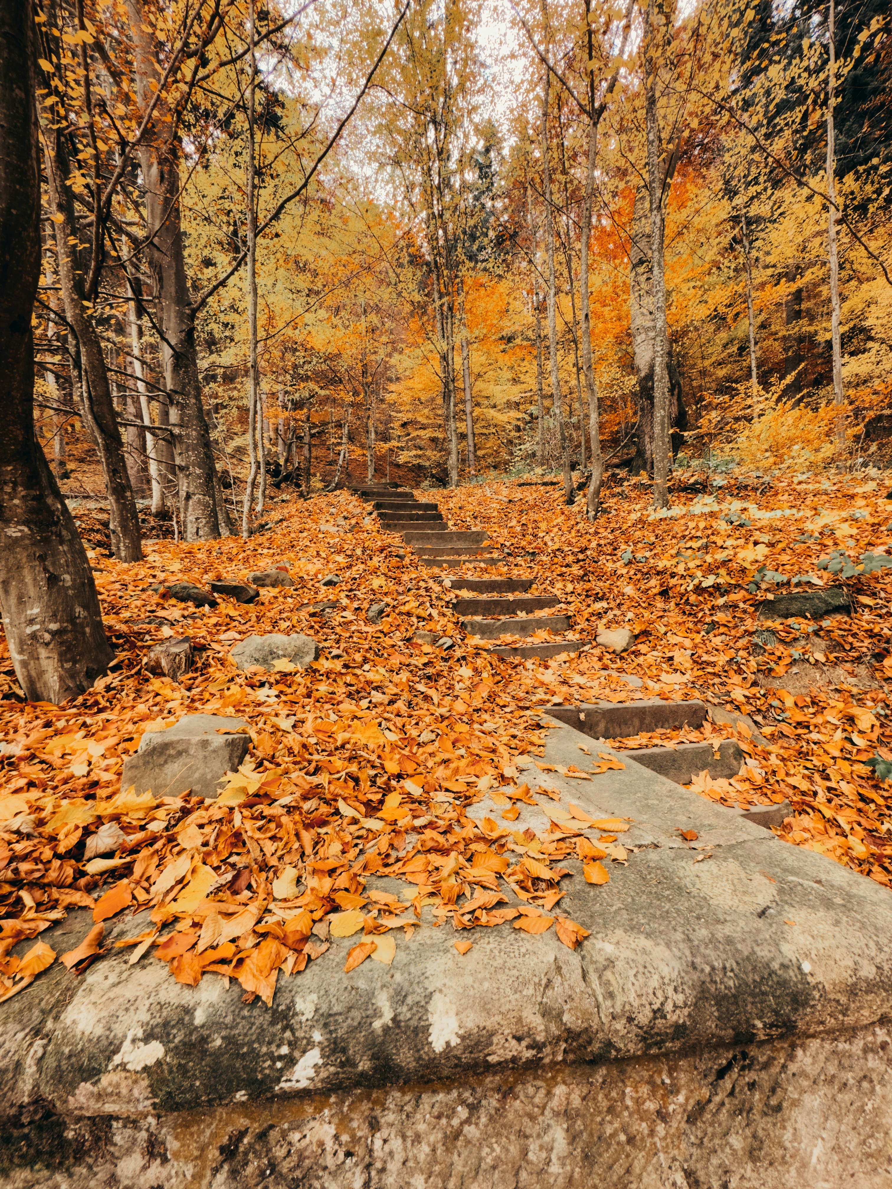 Photo by andreipanait