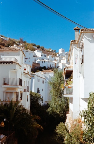 Traditional whitewashed houses with blue shutters nestled on a hillside in Lefkada.