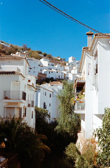A sunlit whitewashed Andalusian villa nestled among olive trees with mountains in the background.