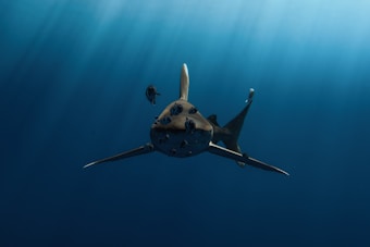 A shark is swimming underwater, with a few smaller fish accompanying it. The ocean is deep blue, and rays of sunlight penetrate the water from above, creating a serene and slightly mysterious atmosphere.