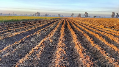 Wide shot of cultivated fields stretching to the horizon
