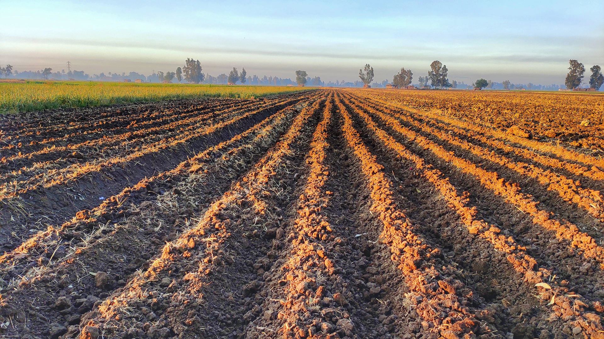 a plowed field in the middle of a rural area