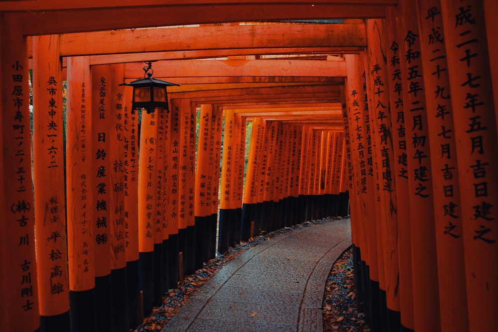 a tunnel of orange tori tori tori tori tori tori tori tori tori tori tori tori