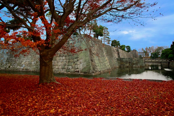 Tochigi Travel: Discover Hidden Gems