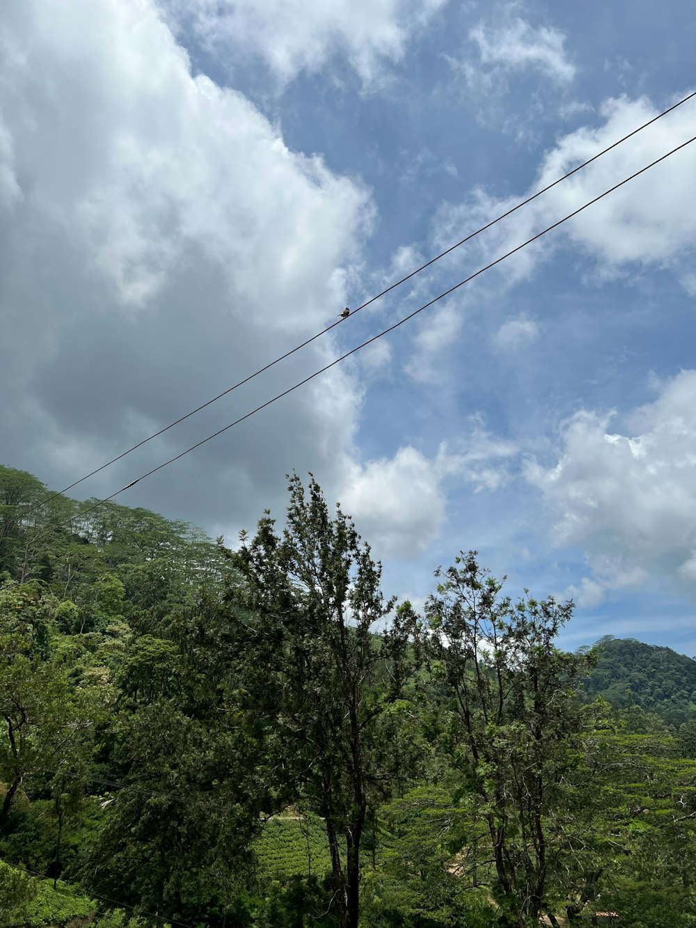 a view of a lush green hillside under a cloudy blue sky