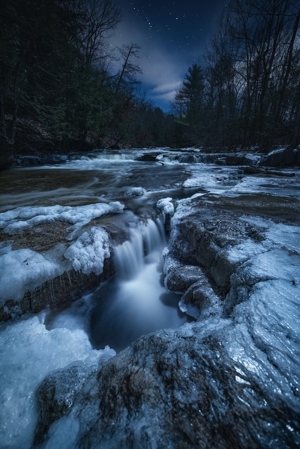 a small stream running through a forest under a night sky