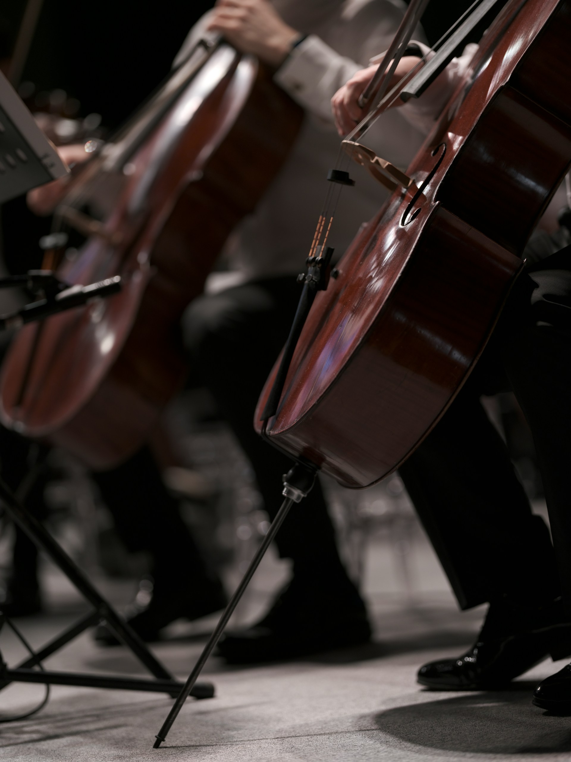 Top Cello Lessons and Teachers in L.A.