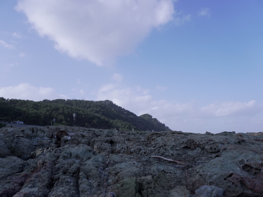 a view of a rocky beach with a mountain in the background