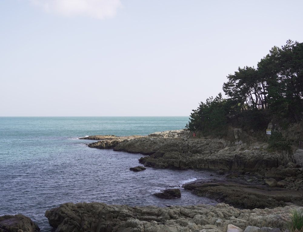 a body of water near a rocky shore