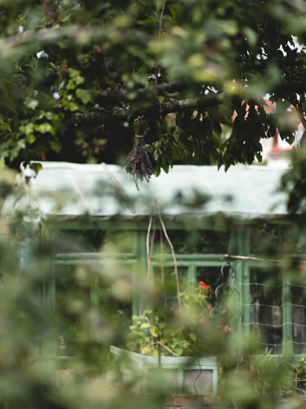 a green house with a white roof and trees