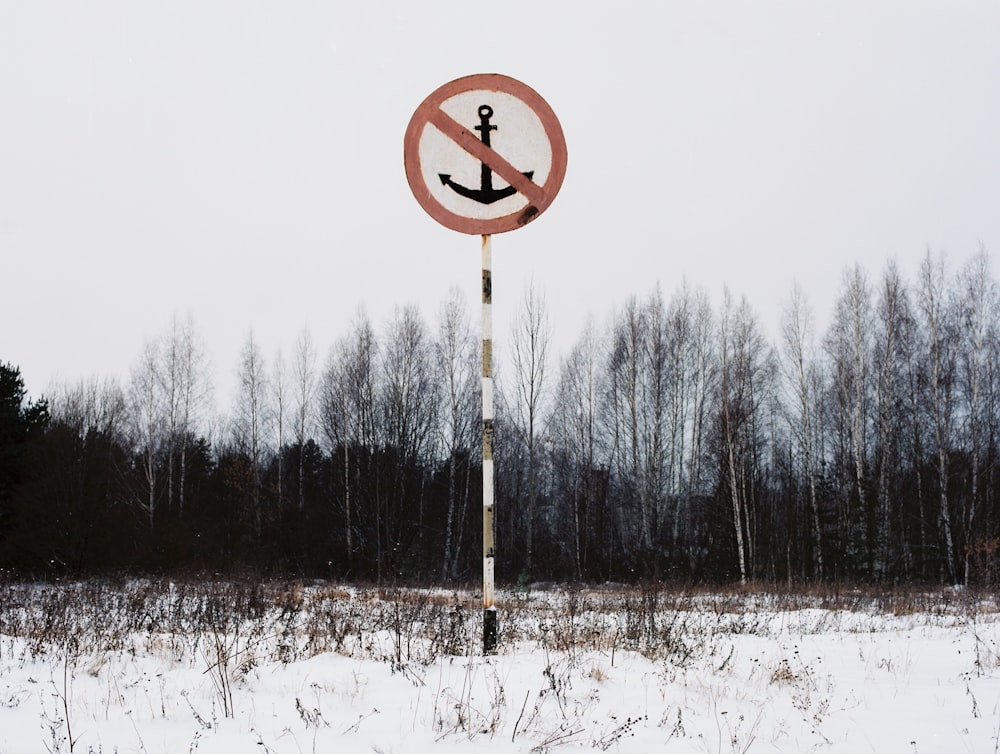 a no left turn sign in a snowy field