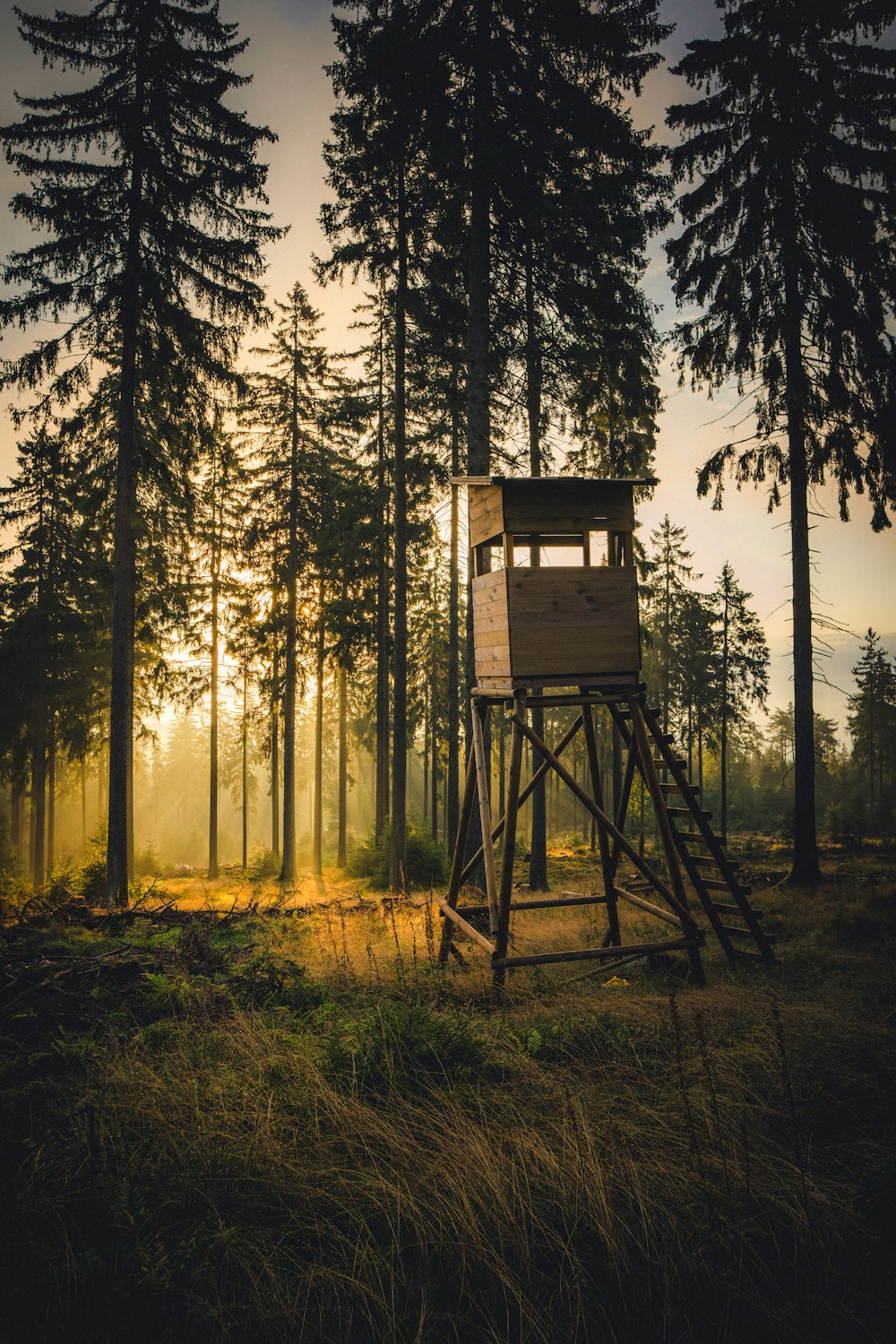 a wooden tower in the middle of a forest