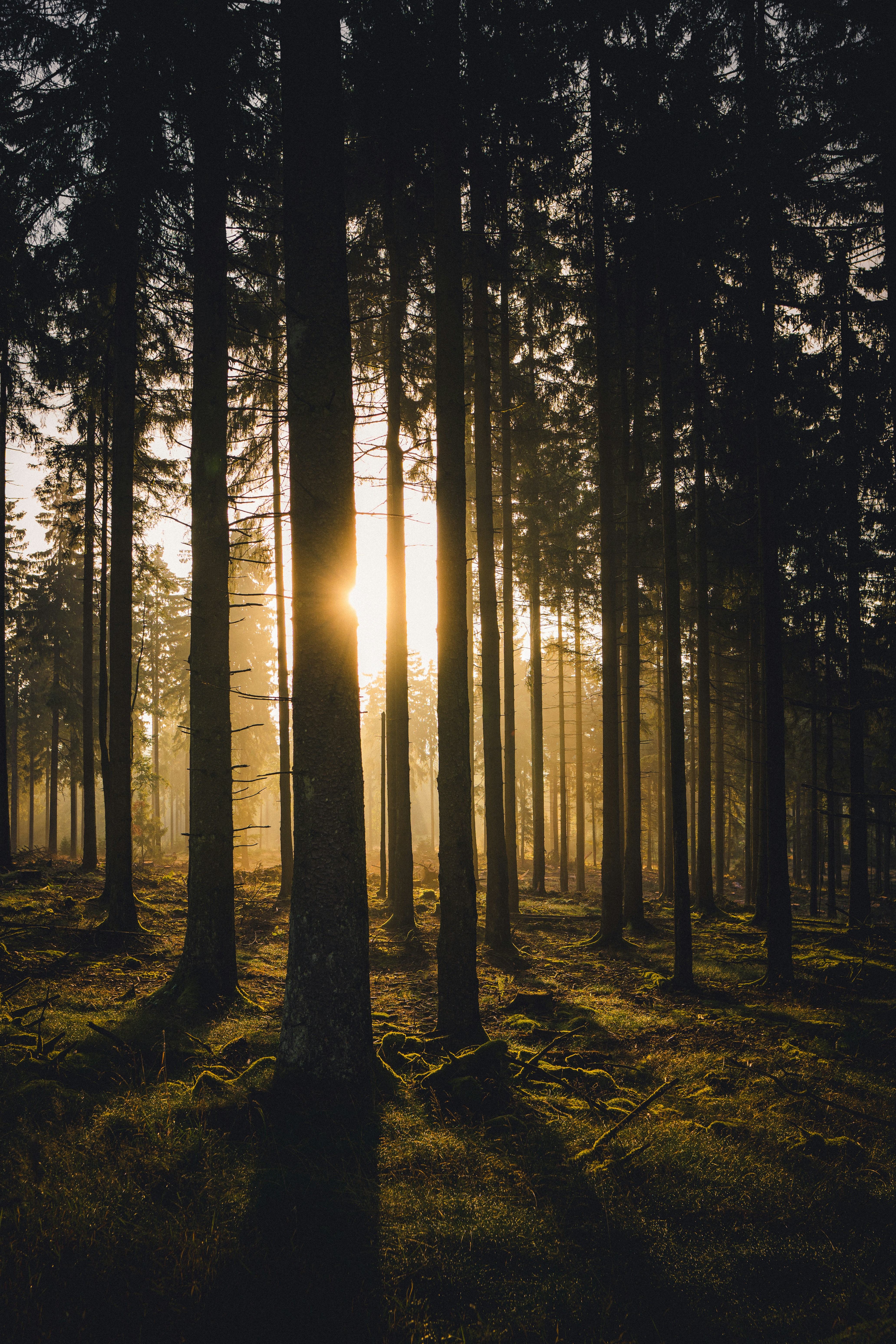 Photo by electerious