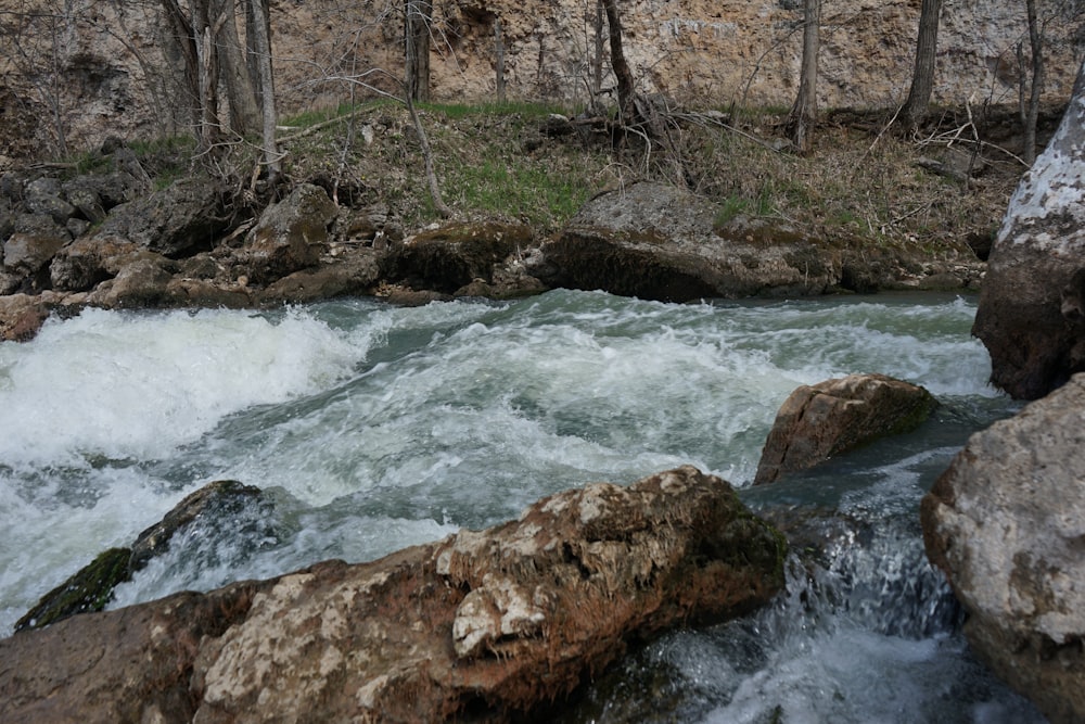 a river running through a forest filled with rocks