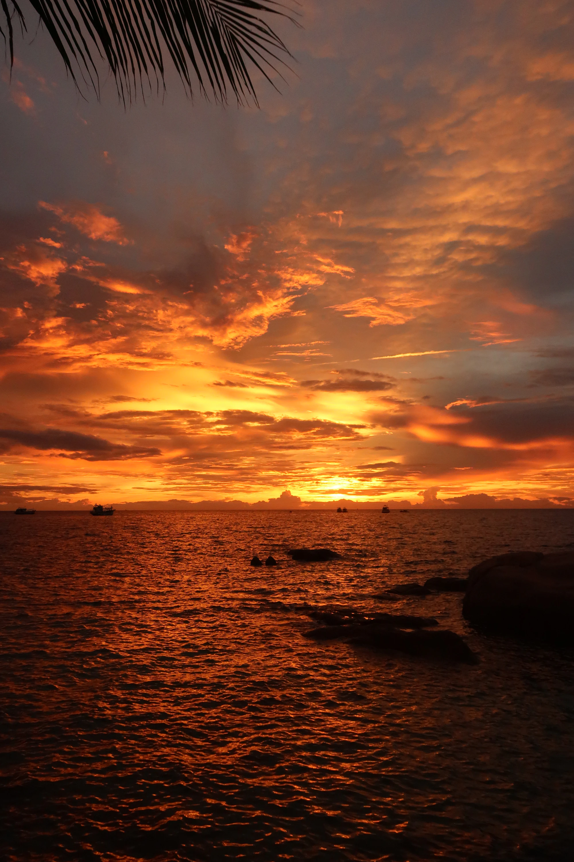 Lipa Noi, Koh Samui — photo d'illustration
