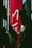 A tall, red vertical banner with white Chinese characters hangs indoors, partially obscured by large dark green leaves. Soft lighting is visible in the background, with hints of a modern interior setting.