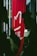 A tall, red vertical banner with white Chinese characters hangs indoors, partially obscured by large dark green leaves. Soft lighting is visible in the background, with hints of a modern interior setting.