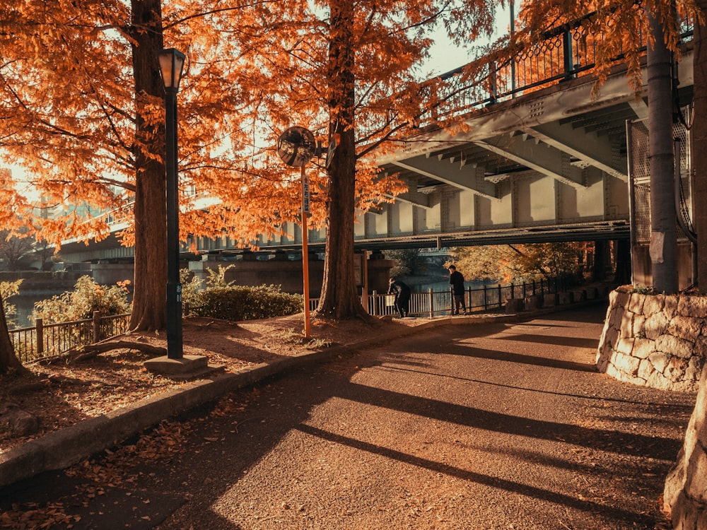 a couple of people standing under a bridge