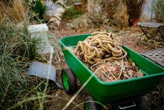 A green garden cart filled with a tangled coil of rope and dry leaves is surrounded by overgrown grasses. Nearby, there is a garden spade on the ground, and the scene has a rustic feel with a foldable metal chair part of the setting.