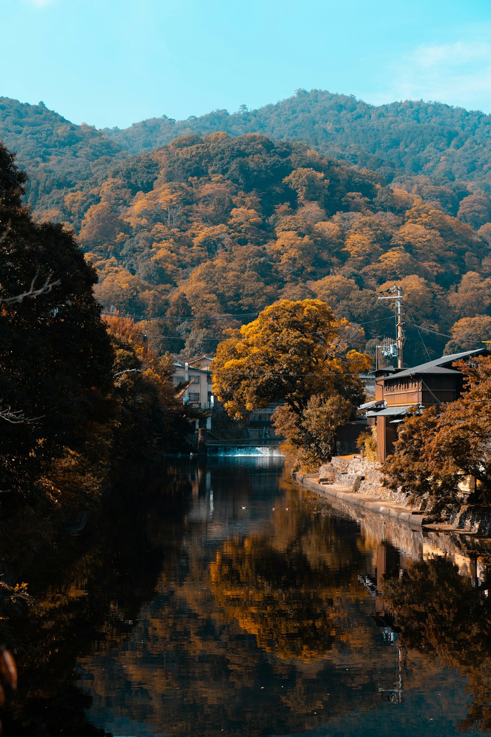 a body of water surrounded by a forest