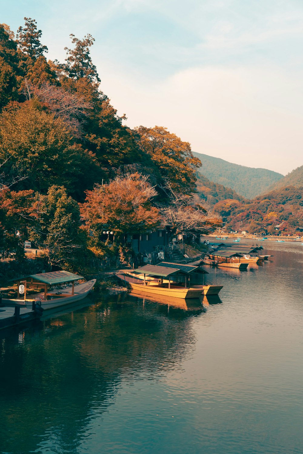 a body of water surrounded by trees and mountains